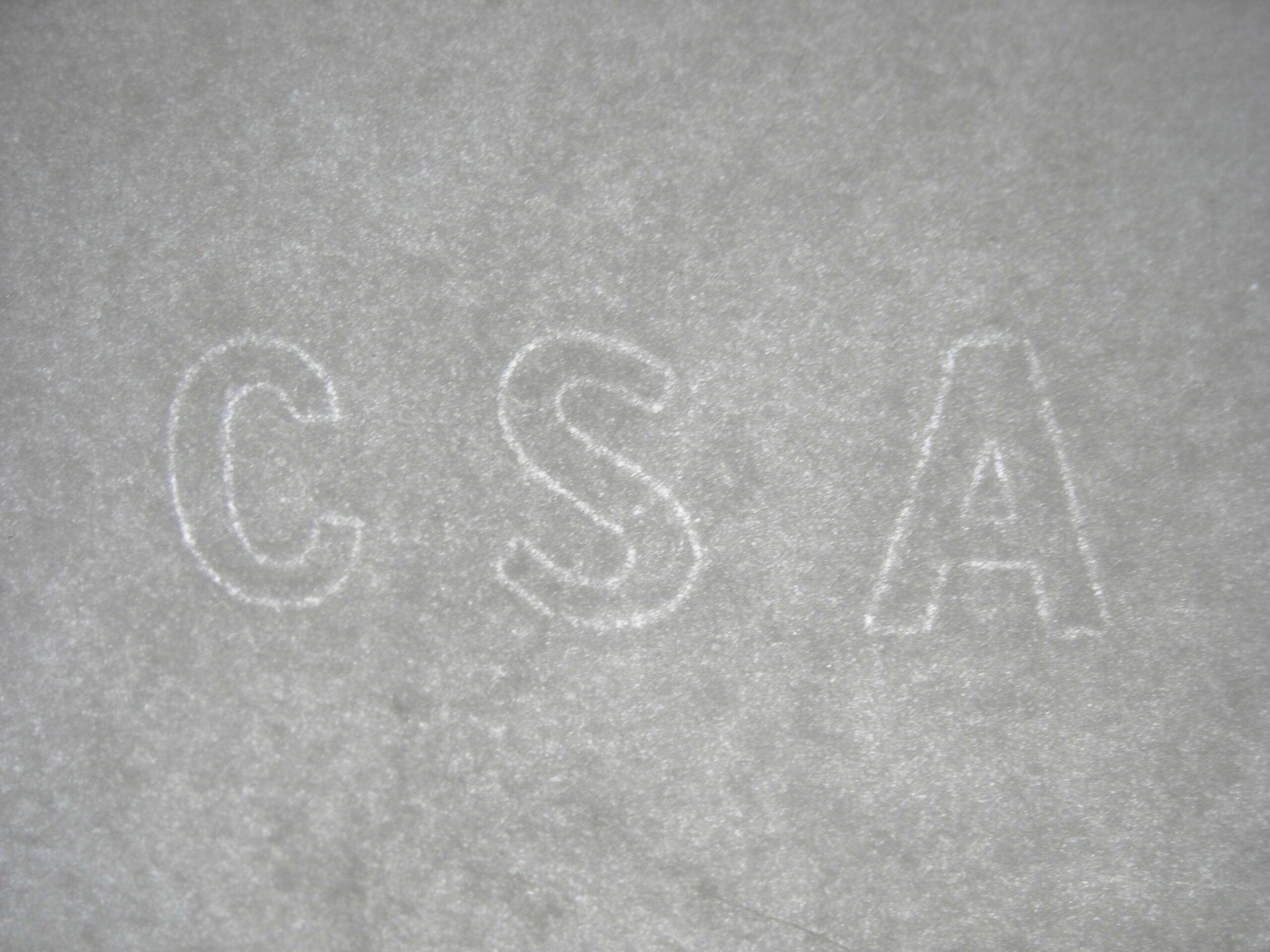 CONFEDERATE BLOCKADE RUNNER WATERMARKED PAPER of 1862