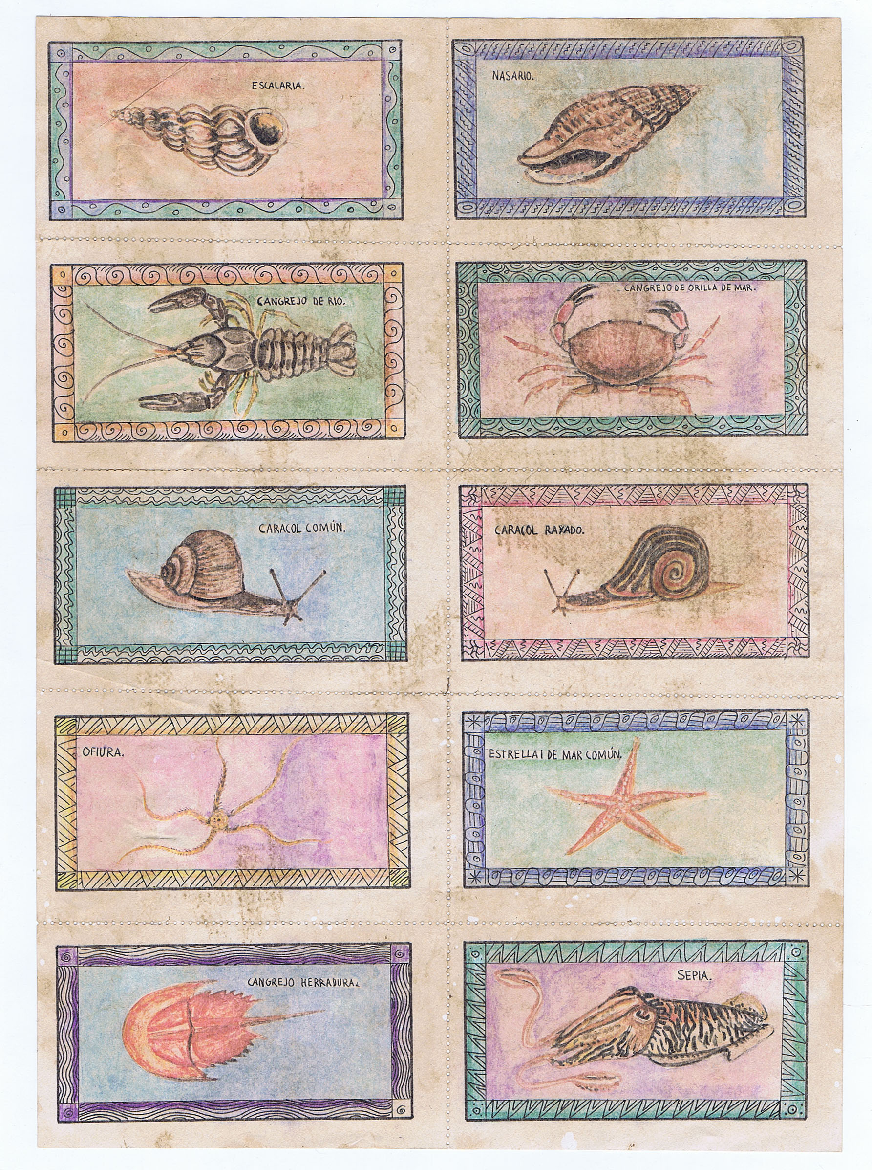 SPANISH CIVIL WAR ( 1936 to 1939 ) COLORFUL FOOD RATION TICKET SHEETS PICTURING SHELL FISH from SEGOVIA